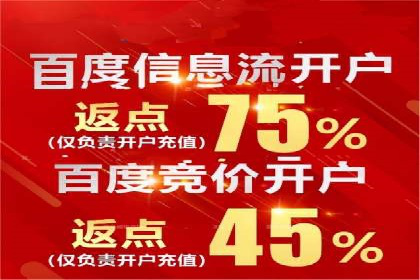 竞价广告策略案例分析